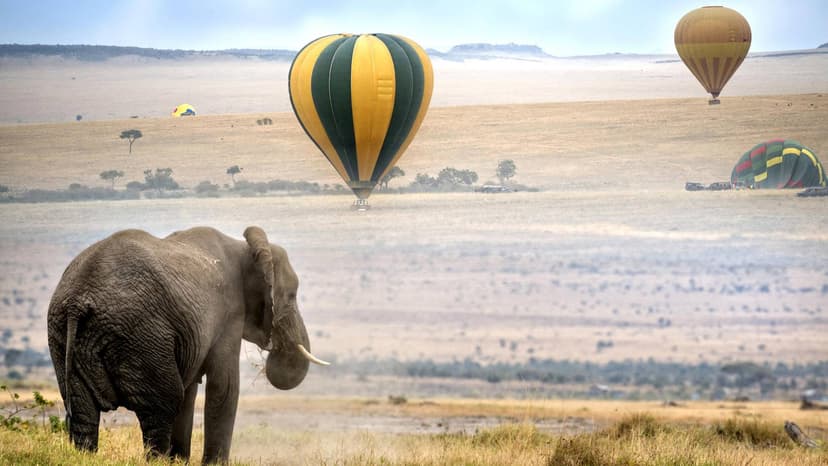 Hot Air Balloon Safari in Masai Mara
