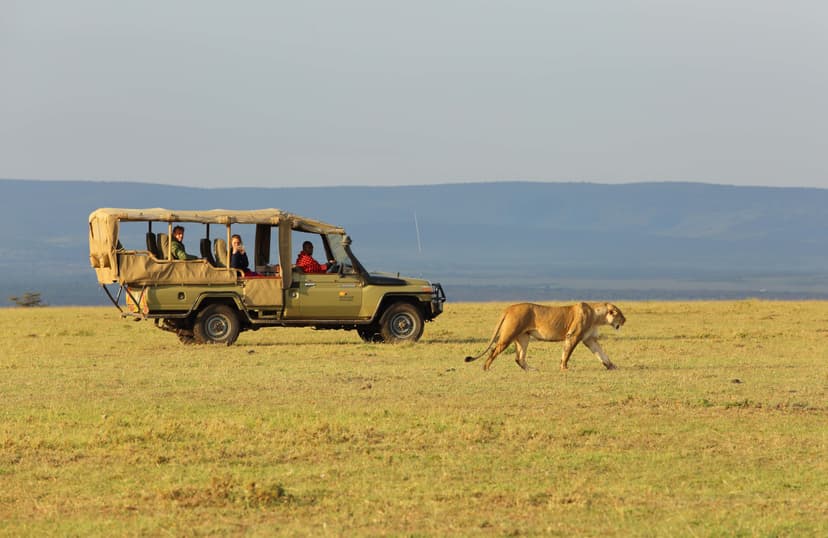 Maasai Mara, Kenya