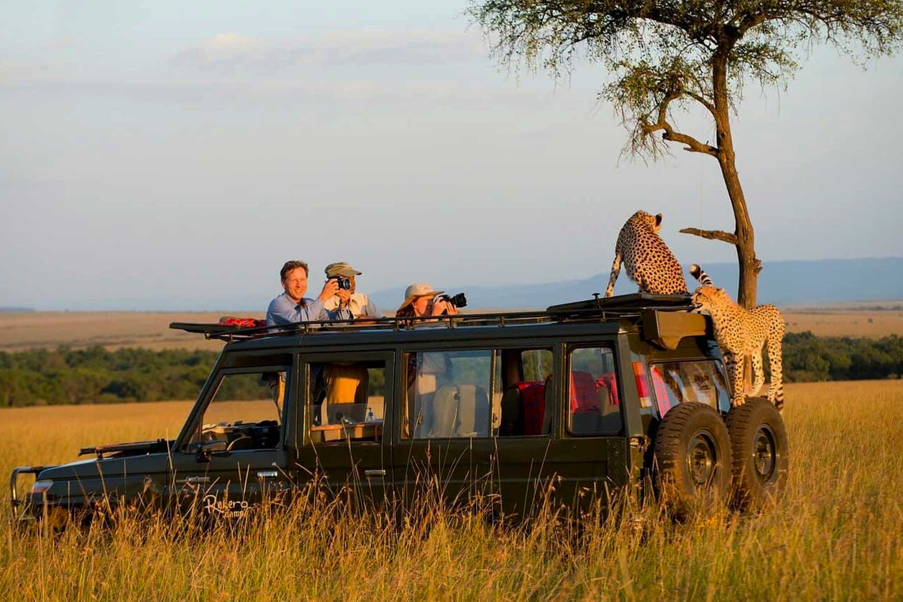 The Ultimate Safari Packing Guide