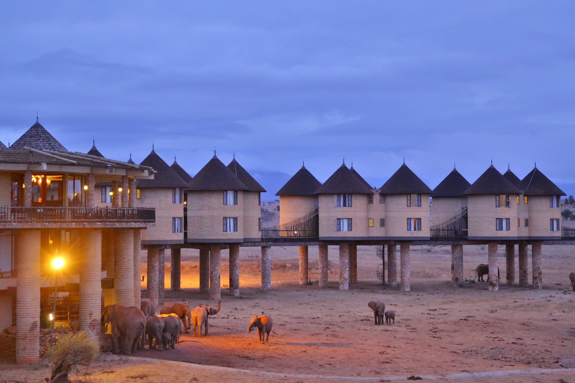 Safari Adventure